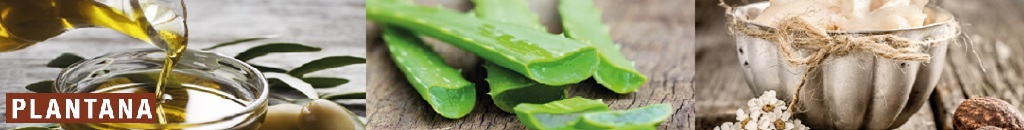plantana-top